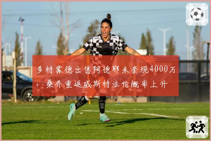 多特蒙德出售阿德耶米套现4000万，桑乔重返威斯特法伦概率上升