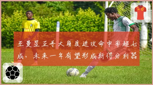 王曼昱正手大角度进攻命中率超七成，未来一年有望形成新得分利器