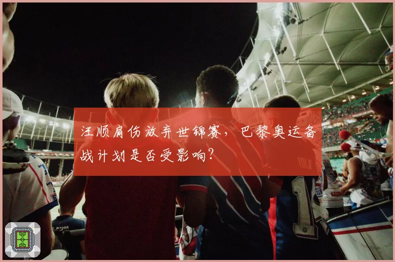 汪顺肩伤放弃世锦赛，巴黎奥运备战计划是否受影响？