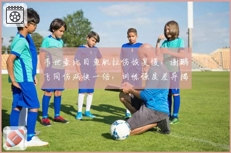韦世豪比目鱼肌拉伤恢复慢，谢鹏飞同伤病快一倍，训练强度差异揭秘