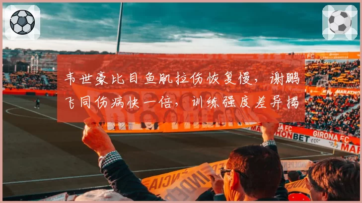 韦世豪比目鱼肌拉伤恢复慢,谢鹏飞同伤病快一倍,训练强度差异揭秘