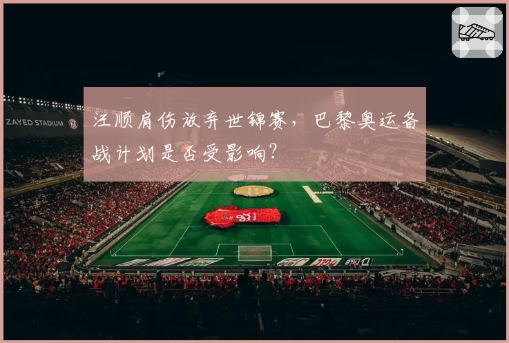 汪顺肩伤放弃世锦赛，巴黎奥运备战计划是否受影响？
